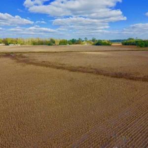 Photo of SOLD!!  58 Acres of Farm Land For Sale in Craven County NC!