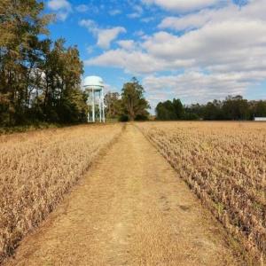 Photo of SOLD!!  58 Acres of Farm Land For Sale in Craven County NC!