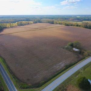 Photo of SOLD!!  58 Acres of Farm Land For Sale in Craven County NC!