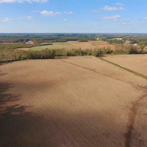 Photo of SOLD!!  58 Acres of Farm Land For Sale in Craven County NC!