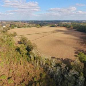 Photo of SOLD!!  58 Acres of Farm Land For Sale in Craven County NC!