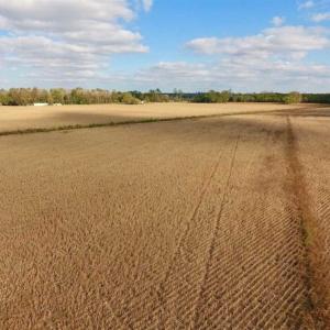 Photo of SOLD!!  58 Acres of Farm Land For Sale in Craven County NC!