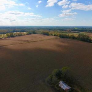 Photo of SOLD!!  58 Acres of Farm Land For Sale in Craven County NC!