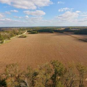 Photo of SOLD!!  58 Acres of Farm Land For Sale in Craven County NC!