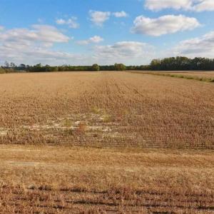 Photo of SOLD!!  58 Acres of Farm Land For Sale in Craven County NC!