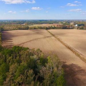 Photo of SOLD!!  58 Acres of Farm Land For Sale in Craven County NC!