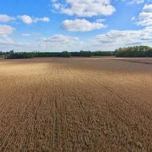 Photo of SOLD!!  58 Acres of Farm Land For Sale in Craven County NC!