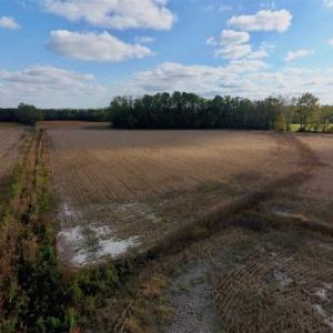 Photo of SOLD!!  58 Acres of Farm Land For Sale in Craven County NC!