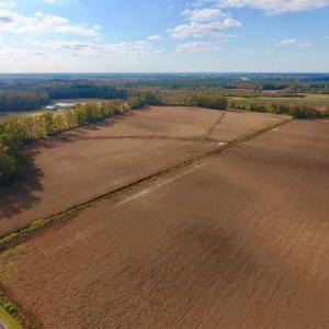 Photo of SOLD!!  58 Acres of Farm Land For Sale in Craven County NC!