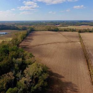Photo of SOLD!!  58 Acres of Farm Land For Sale in Craven County NC!