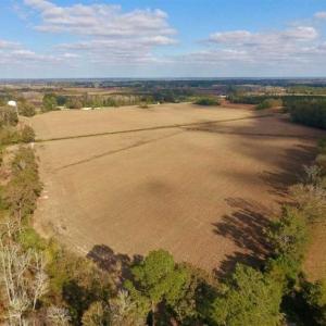 Photo of SOLD!!  58 Acres of Farm Land For Sale in Craven County NC!