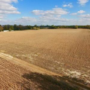 Photo of SOLD!!  58 Acres of Farm Land For Sale in Craven County NC!