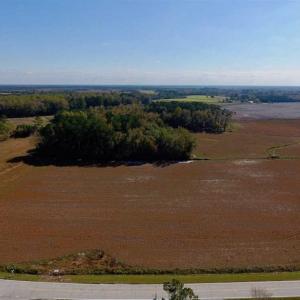 Photo of UNDER CONTRACT!!  22.18 Acres of Farm and Timber Land For Sale in Craven County NC!