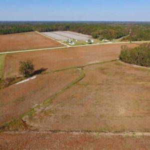 Photo of UNDER CONTRACT!!  22.18 Acres of Farm and Timber Land For Sale in Craven County NC!