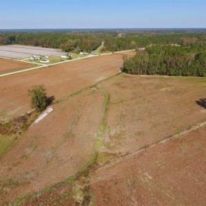 Photo of UNDER CONTRACT!!  22.18 Acres of Farm and Timber Land For Sale in Craven County NC!