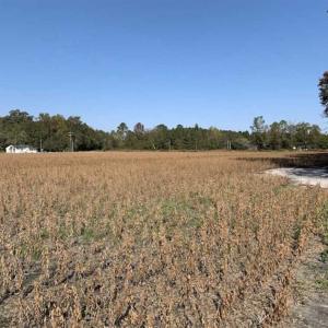 Photo of UNDER CONTRACT!!  22.18 Acres of Farm and Timber Land For Sale in Craven County NC!
