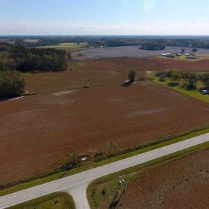 Photo of UNDER CONTRACT!!  22.18 Acres of Farm and Timber Land For Sale in Craven County NC!