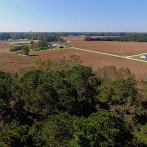 Photo of UNDER CONTRACT!!  22.18 Acres of Farm and Timber Land For Sale in Craven County NC!