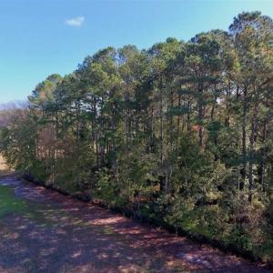 Photo of UNDER CONTRACT!!  22.18 Acres of Farm and Timber Land For Sale in Craven County NC!
