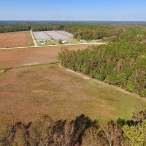 Photo of UNDER CONTRACT!!  22.18 Acres of Farm and Timber Land For Sale in Craven County NC!