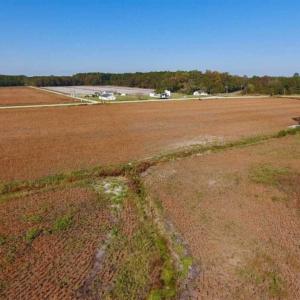 Photo of UNDER CONTRACT!!  22.18 Acres of Farm and Timber Land For Sale in Craven County NC!