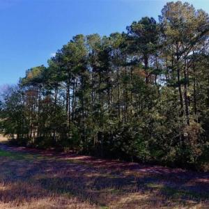Photo of UNDER CONTRACT!!  22.18 Acres of Farm and Timber Land For Sale in Craven County NC!