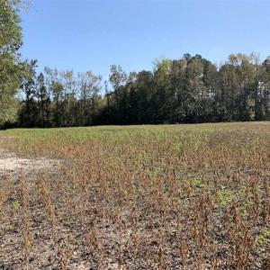 Photo of UNDER CONTRACT!!  22.18 Acres of Farm and Timber Land For Sale in Craven County NC!