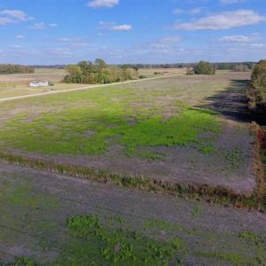 Photo of 23.52 Acres of Farm Land For Sale in Craven County NC!