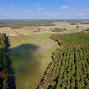 Photo of 23.52 Acres of Farm Land For Sale in Craven County NC!