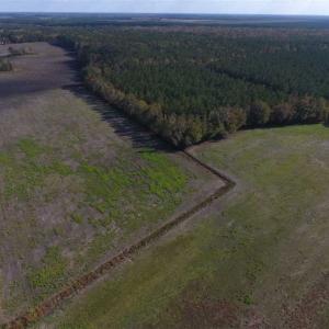 Photo of 23.52 Acres of Farm Land For Sale in Craven County NC!