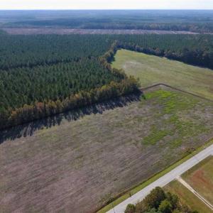 Photo of 23.52 Acres of Farm Land For Sale in Craven County NC!