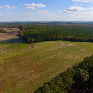 Photo of 23.52 Acres of Farm Land For Sale in Craven County NC!