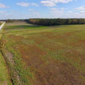 Photo of 23.52 Acres of Farm Land For Sale in Craven County NC!