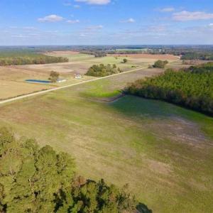 Photo of 23.52 Acres of Farm Land For Sale in Craven County NC!
