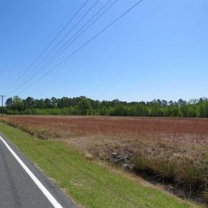 Photo of 127.86 ac of Farm, Hunting, and Timberland for Sale in Columbus County NC!