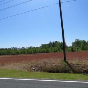 Photo of 127.86 ac of Farm, Hunting, and Timberland for Sale in Columbus County NC!