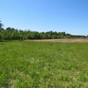 Photo of 127.86 ac of Farm, Hunting, and Timberland for Sale in Columbus County NC!