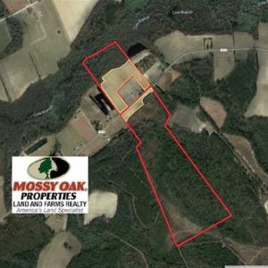 Photo of 127.86 ac of Farm, Hunting, and Timberland for Sale in Columbus County NC!