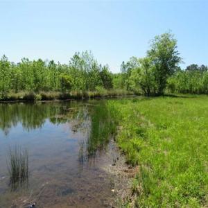 Photo of 127.86 ac of Farm, Hunting, and Timberland for Sale in Columbus County NC!