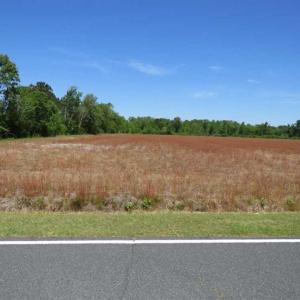 Photo of 127.86 ac of Farm, Hunting, and Timberland for Sale in Columbus County NC!