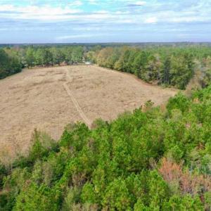 Photo of SOLD!!  39.63 Ac of Residential Farm and Timber Land for Sale in Columbus Co NC!