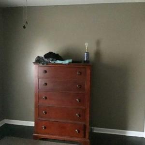 Photo of SOLD!!  39.63 Ac of Residential Farm and Timber Land for Sale in Columbus Co NC!