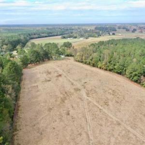 Photo of SOLD!!  39.63 Ac of Residential Farm and Timber Land for Sale in Columbus Co NC!