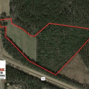 Photo of SOLD!!  39.63 Ac of Residential Farm and Timber Land for Sale in Columbus Co NC!