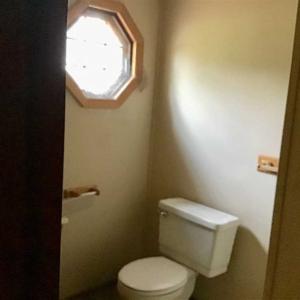 Photo of SOLD!!  39.63 Ac of Residential Farm and Timber Land for Sale in Columbus Co NC!