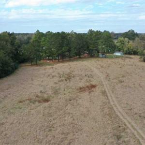 Photo of SOLD!!  39.63 Ac of Residential Farm and Timber Land for Sale in Columbus Co NC!