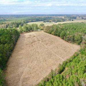 Photo of SOLD!!  39.63 Ac of Residential Farm and Timber Land for Sale in Columbus Co NC!