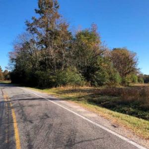 Photo of SOLD!!  25 Acres of Farm and Timber Land For Sale in Halifax County NC!