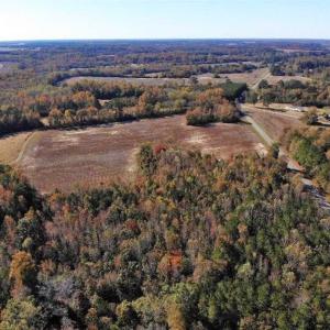 Photo of SOLD!!  25 Acres of Farm and Timber Land For Sale in Halifax County NC!