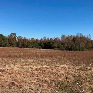 Photo of SOLD!!  25 Acres of Farm and Timber Land For Sale in Halifax County NC!